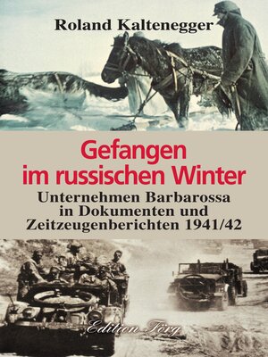 cover image of Gefangen im russischen Winter-- Unternehmen Barbarossa in Dokumenten und Zeitzeugenberichten 1941/42